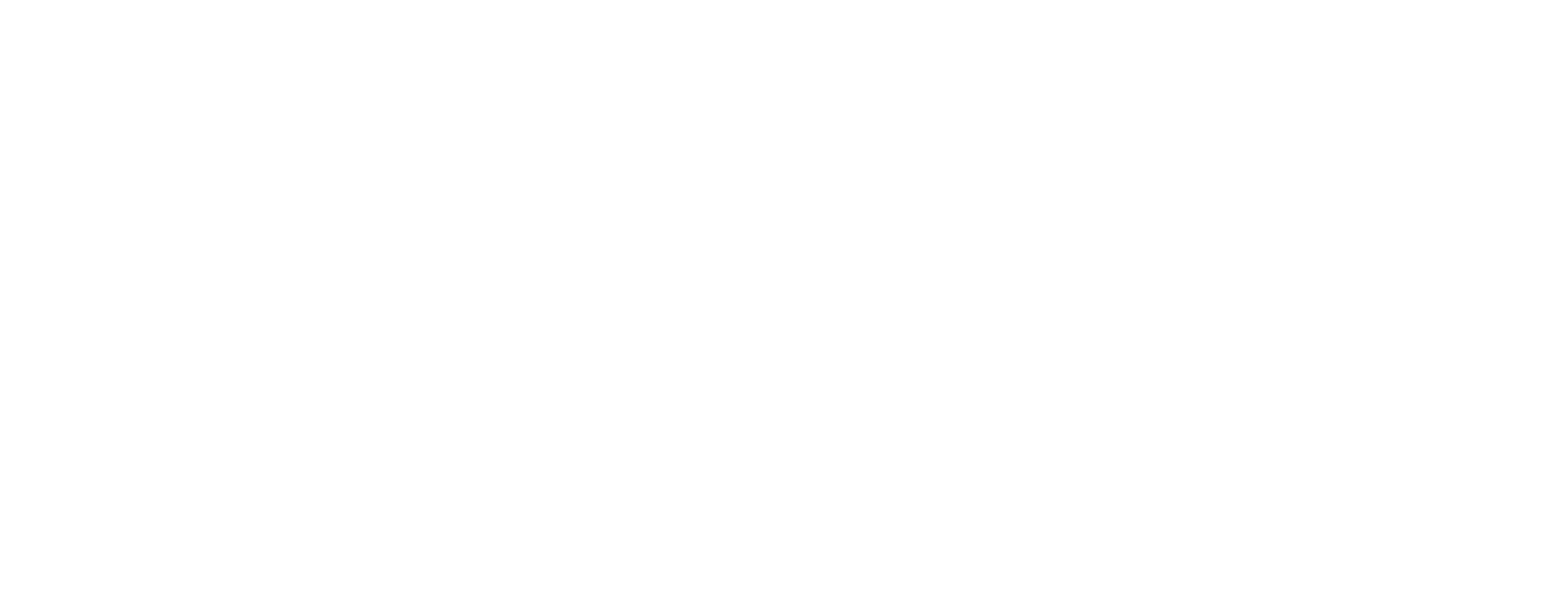 RenSti